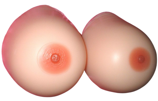 KRŪTŲ FORMOS SPECIAL TRADE "HUGE MASSIVE", 3,6 KG  
 
Šios krūtų formos yra labai didelės su  seksualiais rudais speneliais.   
Pagaminta iš aukštos kokybės silikono  ir turi labai tvirtą PU dangą, todėl krūtys ne tik puikiai atrodo, bet ir yra labai patvarios. 
"Huge Massive"  juda kaip tikros krūtys.  
Galinė krūtinės dalis yra ne įgaubta, o plokščia. 
Po naudojimo  reikėtų nuplauti krūtis , užtenka nuplauti švelniu muilu ir drungnu vandeniu – jokios kito specialios priežiūros nereikia. 
APIE KRŪTŲ FORMAS  
Svoris: 3,6 kg 
Ilgis: 18 cm 
Plotis: 16,5cm 
Aukštis: 13 cm 