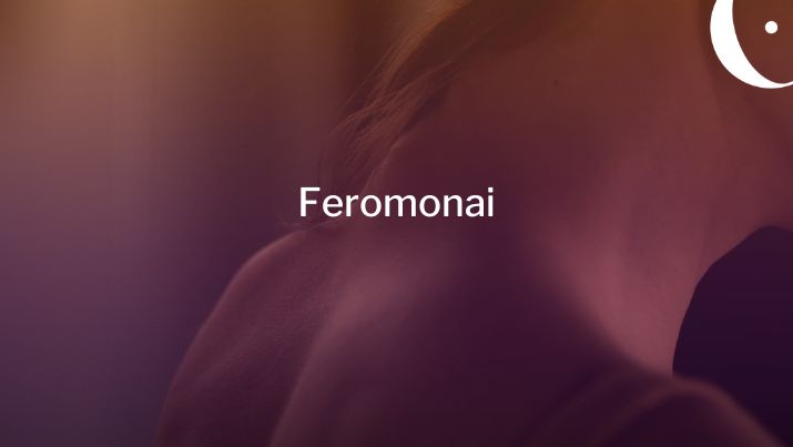 Feromonai - seksualinio potraukio ar kliedesio paslaptis?
