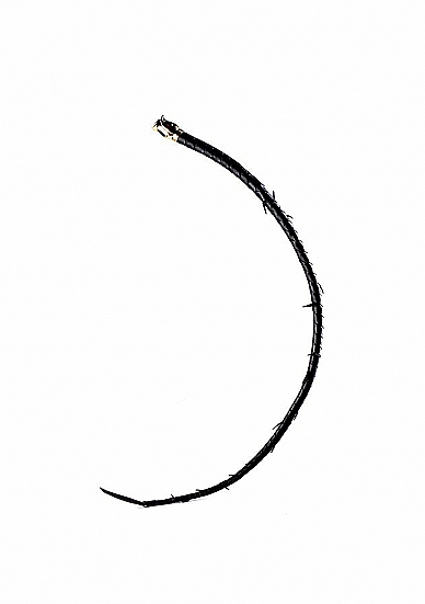 Prabangus BDSM rinkinys 